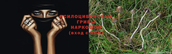 кокаин Алзамай