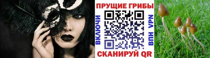 цены наркотик  omg зеркало  Псилоцибиновые грибы Magic Shrooms  Апшеронск 