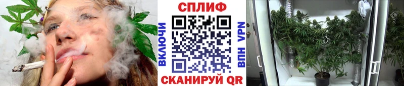ссылка на мегу как войти Апшеронск Каннабис Ganja